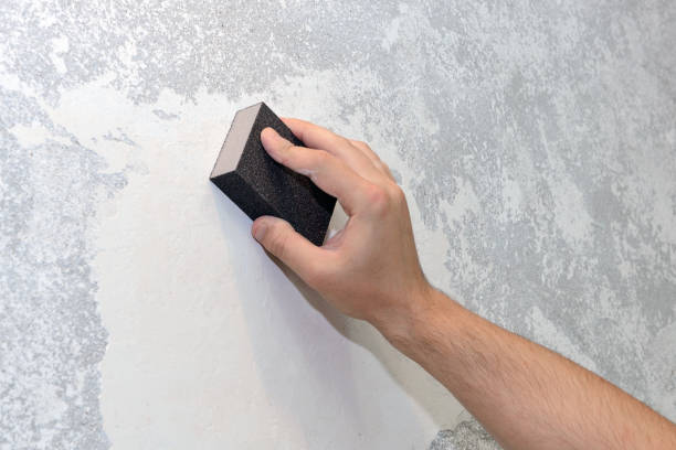 Best Mold Odor Removal Services  in East Islip, NY