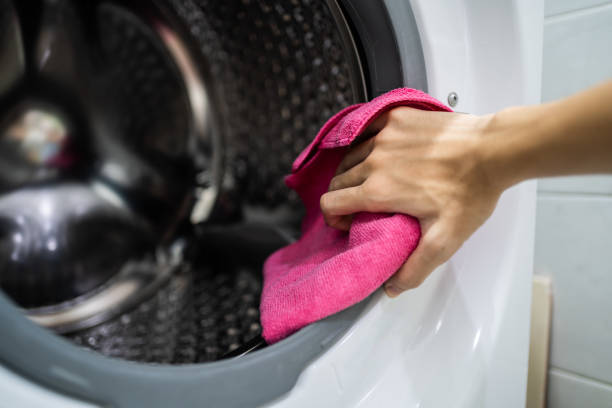 Reliable East Islip, NY Mold Removal Solutions