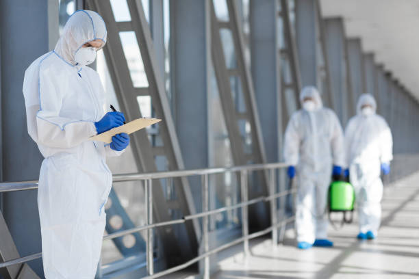 Best Industrial Mold Remediation  in East Islip, NY
