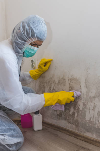 Best Dehumidification Services  in East Islip, NY