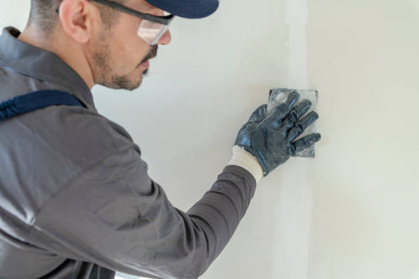 Best Real Estate Mold Inspection  in East Islip, NY