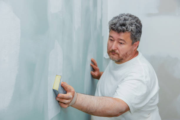 Best Post-Construction Mold Inspection  in East Islip, NY